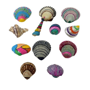 Beach Theme -‎ 12 Handpainted OBX Sea Shells